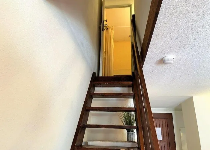 La Palmyre - Le Hameau De Talaris - Piscine Collective - 1 Etoile * 莱马特