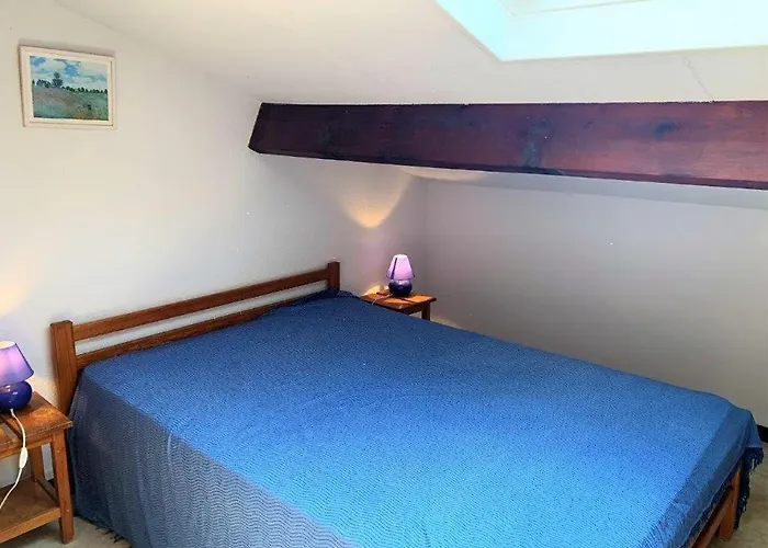 La Palmyre - Le Hameau De Talaris - Piscine Collective - 1 Etoile * 莱马特